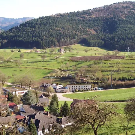 Apartment Cheerful Near Centre Of Haslach *