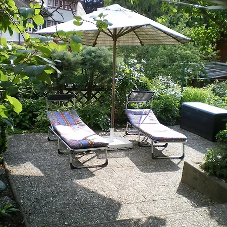 Cheerful Near Centre Of Haslach *