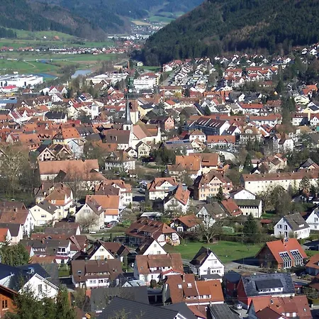 شقة Zentrale In Haslach هاسلاخ إيم كينزيجتال