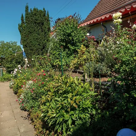 Zentrale In Haslach *