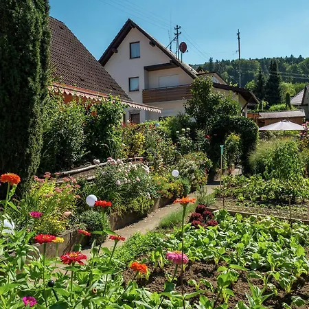 Zentrale In Haslach * هاسلاخ إيم كينزيجتال