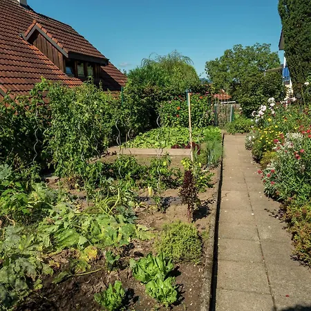 Zentrale In Haslach *